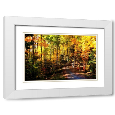 The Road Home White Modern Wood Framed Art Print with Double Matting by Hausenflock, Alan