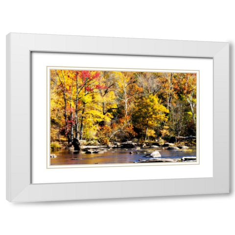 Autumn on the River VII White Modern Wood Framed Art Print with Double Matting by Hausenflock, Alan