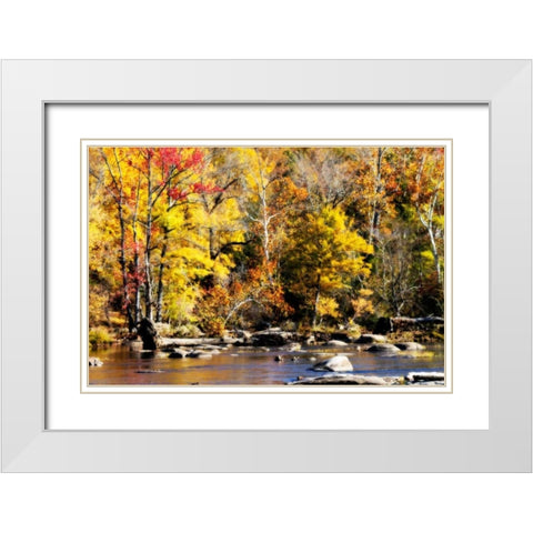 Autumn on the River VII White Modern Wood Framed Art Print with Double Matting by Hausenflock, Alan