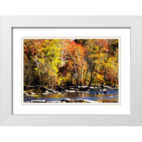 Autumn on the River VIII White Modern Wood Framed Art Print with Double Matting by Hausenflock, Alan