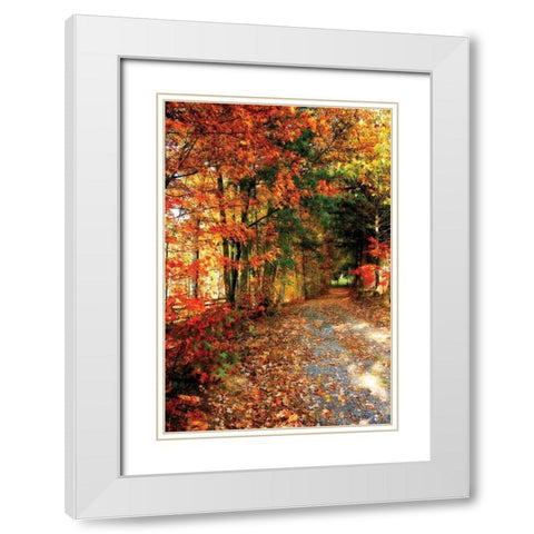 Autumn Pathway White Modern Wood Framed Art Print with Double Matting by Hausenflock, Alan