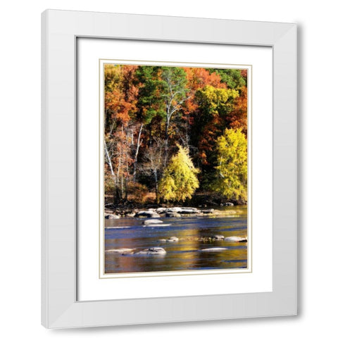 Autumn on the River IX White Modern Wood Framed Art Print with Double Matting by Hausenflock, Alan