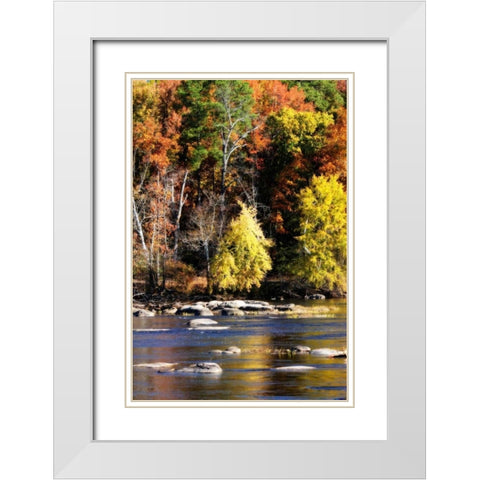 Autumn on the River IX White Modern Wood Framed Art Print with Double Matting by Hausenflock, Alan