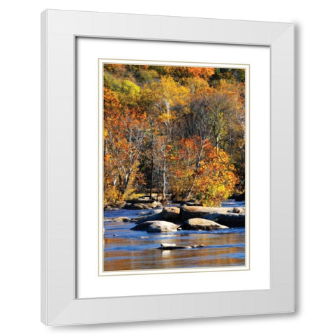 Autumn on the River I0 White Modern Wood Framed Art Print with Double Matting by Hausenflock, Alan