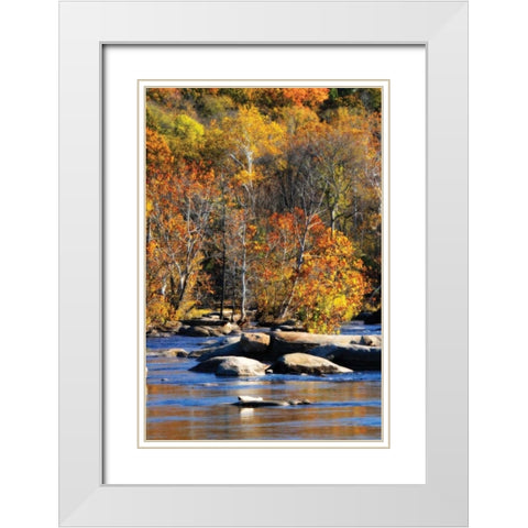 Autumn on the River I0 White Modern Wood Framed Art Print with Double Matting by Hausenflock, Alan