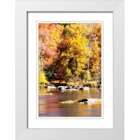 Autumn on the River II White Modern Wood Framed Art Print with Double Matting by Hausenflock, Alan