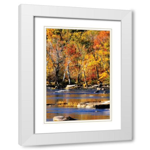 Autumn on the River I2 White Modern Wood Framed Art Print with Double Matting by Hausenflock, Alan