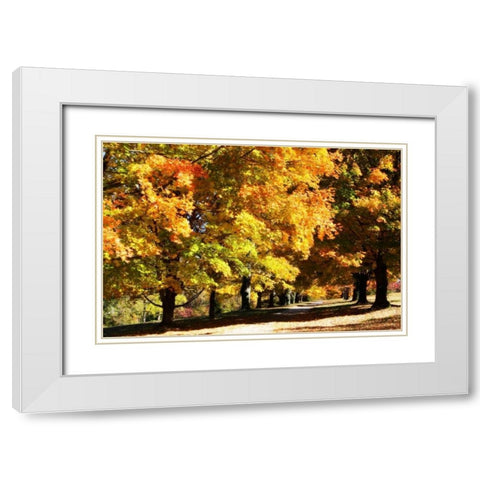 Sugar Maples I White Modern Wood Framed Art Print with Double Matting by Hausenflock, Alan