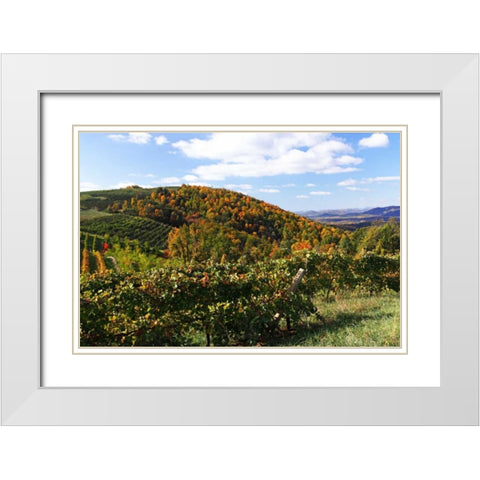 Mountain Vineyard I White Modern Wood Framed Art Print with Double Matting by Hausenflock, Alan