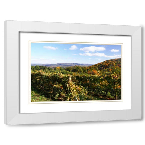 Mountain Vineyard II White Modern Wood Framed Art Print with Double Matting by Hausenflock, Alan