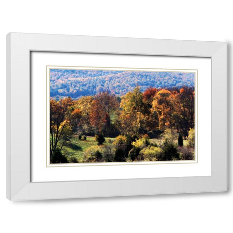 Autumn Foothills I White Modern Wood Framed Art Print with Double Matting by Hausenflock, Alan