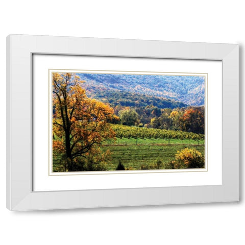 Autumn Foothills II White Modern Wood Framed Art Print with Double Matting by Hausenflock, Alan