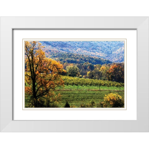 Autumn Foothills II White Modern Wood Framed Art Print with Double Matting by Hausenflock, Alan