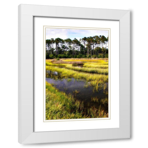 Down East II White Modern Wood Framed Art Print with Double Matting by Hausenflock, Alan