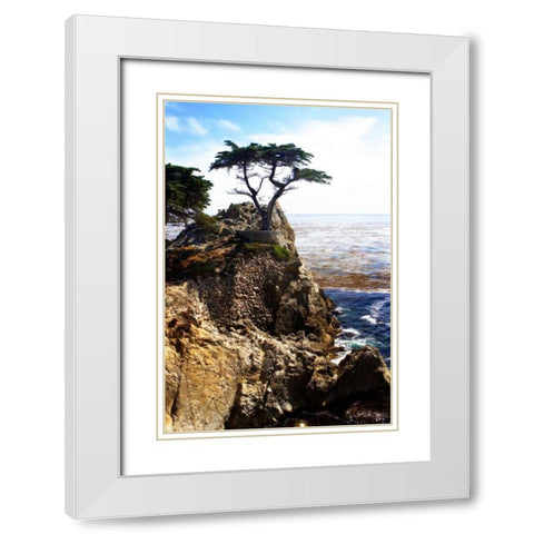 Lone Cypress I White Modern Wood Framed Art Print with Double Matting by Hausenflock, Alan