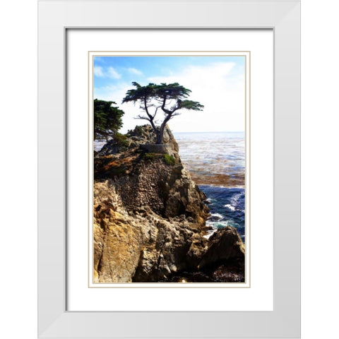 Lone Cypress I White Modern Wood Framed Art Print with Double Matting by Hausenflock, Alan