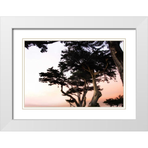 Cypress Silhouette III White Modern Wood Framed Art Print with Double Matting by Hausenflock, Alan