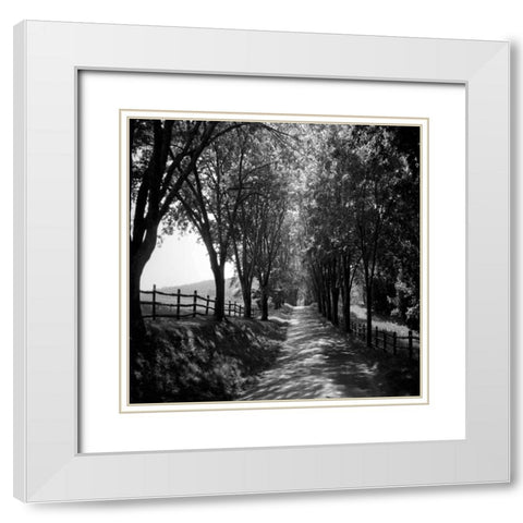 Ash Lawn Square I White Modern Wood Framed Art Print with Double Matting by Hausenflock, Alan