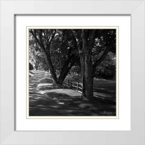 Ash Lawn Square II White Modern Wood Framed Art Print with Double Matting by Hausenflock, Alan