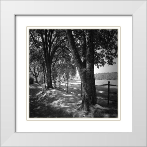 Summer Stroll Square II White Modern Wood Framed Art Print with Double Matting by Hausenflock, Alan