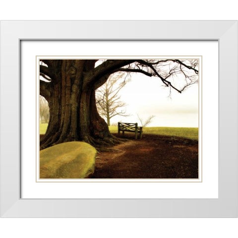 Fog on the James I White Modern Wood Framed Art Print with Double Matting by Hausenflock, Alan