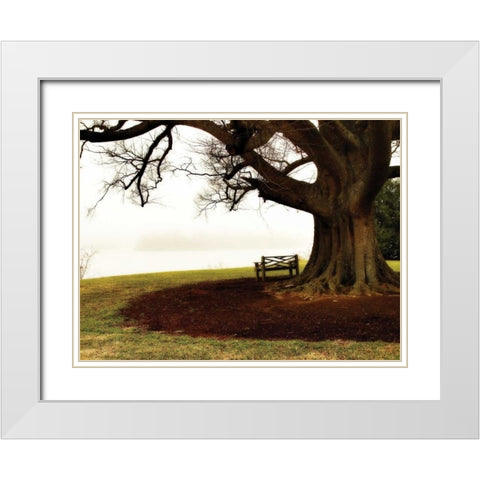 Fog on the James II White Modern Wood Framed Art Print with Double Matting by Hausenflock, Alan