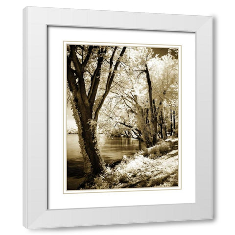 Spring on the River II White Modern Wood Framed Art Print with Double Matting by Hausenflock, Alan