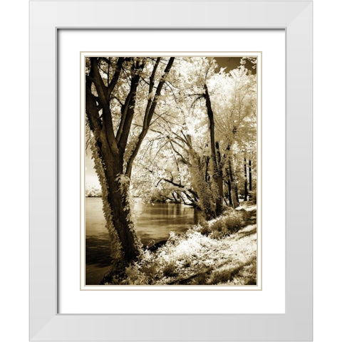 Spring on the River II White Modern Wood Framed Art Print with Double Matting by Hausenflock, Alan