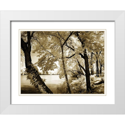 Spring on the River IV White Modern Wood Framed Art Print with Double Matting by Hausenflock, Alan