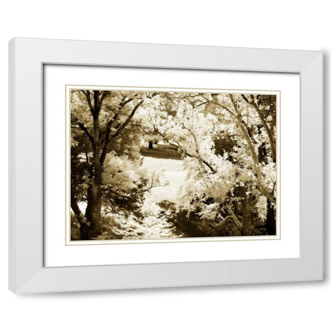 Sunlit Meadows II White Modern Wood Framed Art Print with Double Matting by Hausenflock, Alan