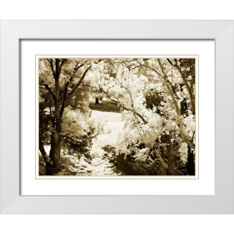 Sunlit Meadows II White Modern Wood Framed Art Print with Double Matting by Hausenflock, Alan