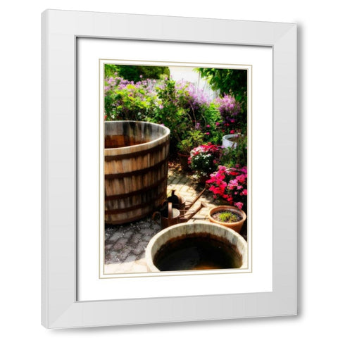 The Garden Nook II White Modern Wood Framed Art Print with Double Matting by Hausenflock, Alan