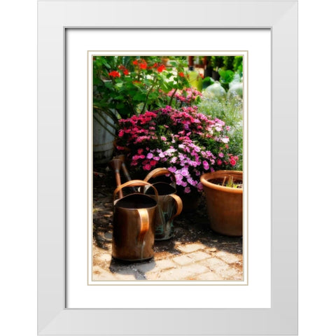 The Garden Nook IV White Modern Wood Framed Art Print with Double Matting by Hausenflock, Alan