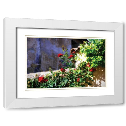 Flowers on a Mission Wall III White Modern Wood Framed Art Print with Double Matting by Hausenflock, Alan