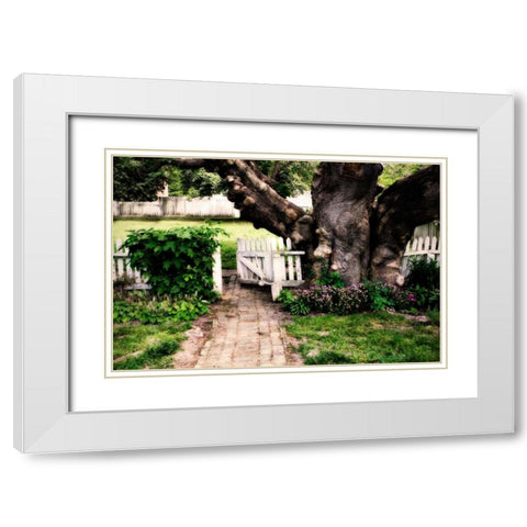 Grandfather Tree I White Modern Wood Framed Art Print with Double Matting by Hausenflock, Alan