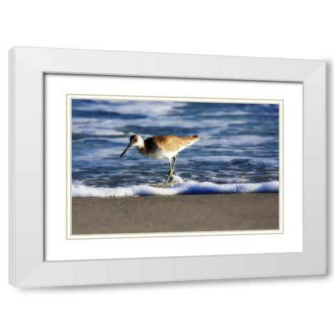 Sandpiper in the Surf III White Modern Wood Framed Art Print with Double Matting by Hausenflock, Alan