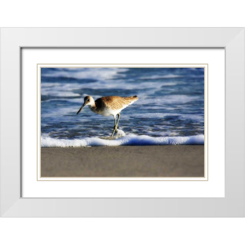 Sandpiper in the Surf III White Modern Wood Framed Art Print with Double Matting by Hausenflock, Alan