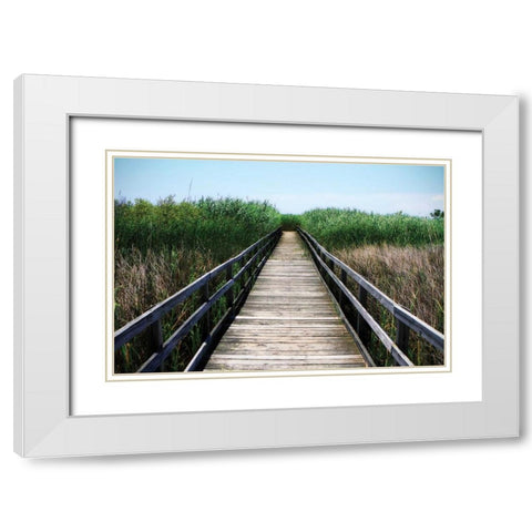 Wetland Walkway III White Modern Wood Framed Art Print with Double Matting by Hausenflock, Alan