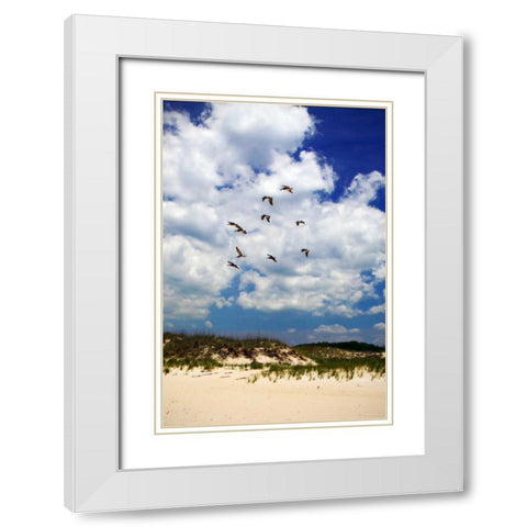 Pelicans over the Dunes V White Modern Wood Framed Art Print with Double Matting by Hausenflock, Alan