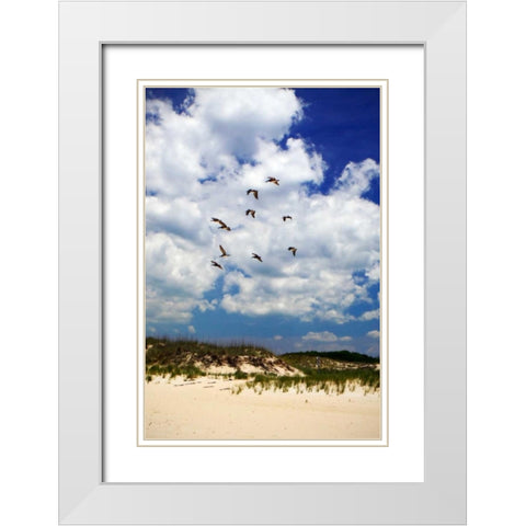 Pelicans over the Dunes V White Modern Wood Framed Art Print with Double Matting by Hausenflock, Alan