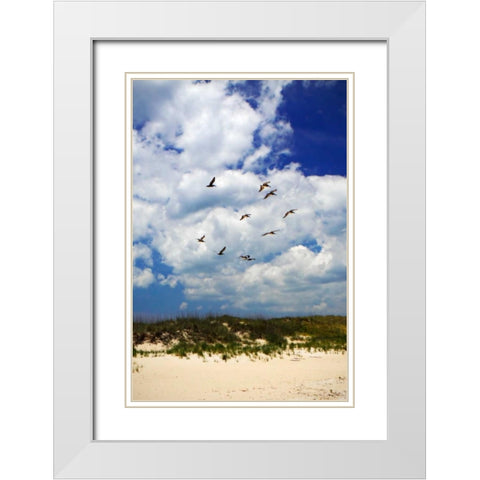 Pelicans over the Dunes VI White Modern Wood Framed Art Print with Double Matting by Hausenflock, Alan