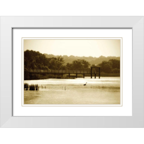 Lagoon I White Modern Wood Framed Art Print with Double Matting by Hausenflock, Alan