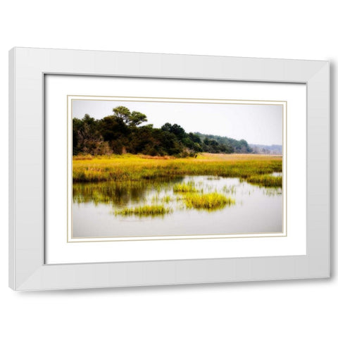 The Sanctuary I White Modern Wood Framed Art Print with Double Matting by Hausenflock, Alan