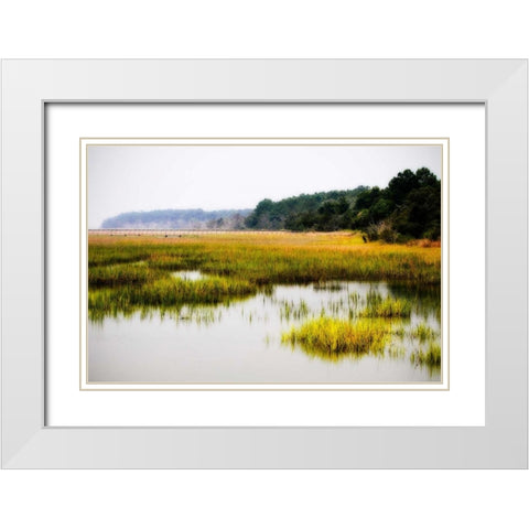 The Sanctuary II White Modern Wood Framed Art Print with Double Matting by Hausenflock, Alan