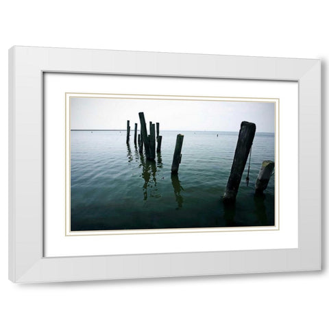 Pilings I White Modern Wood Framed Art Print with Double Matting by Hausenflock, Alan