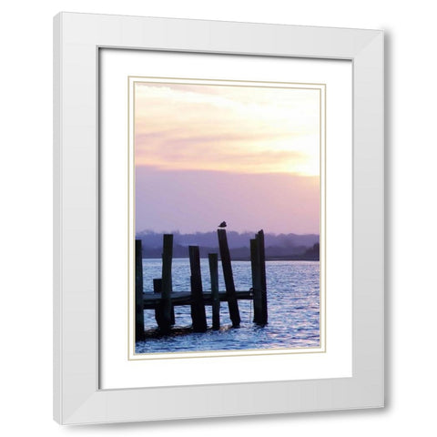 Seagulls at Sunset White Modern Wood Framed Art Print with Double Matting by Hausenflock, Alan