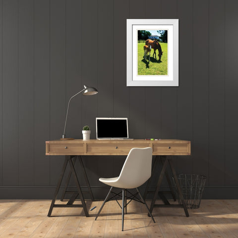 Mare and Foal I White Modern Wood Framed Art Print with Double Matting by Hausenflock, Alan