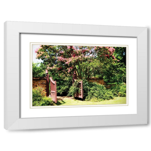 Crepe Myrtle I White Modern Wood Framed Art Print with Double Matting by Hausenflock, Alan