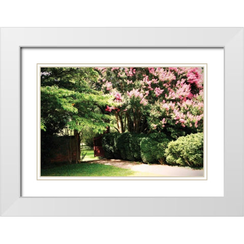 Crepe Myrtle II White Modern Wood Framed Art Print with Double Matting by Hausenflock, Alan