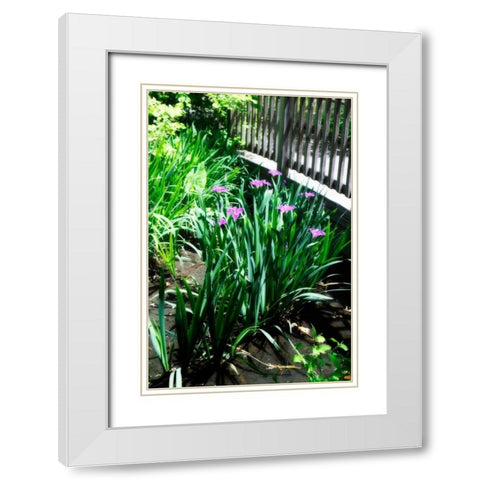 Spring Iris I White Modern Wood Framed Art Print with Double Matting by Hausenflock, Alan